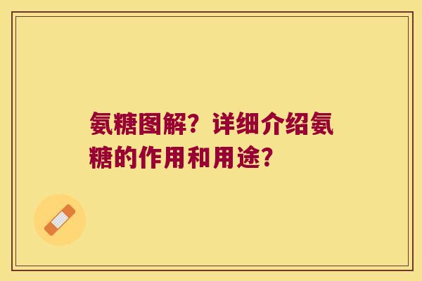 氨糖图解?详细介绍氨糖的作用和用途?