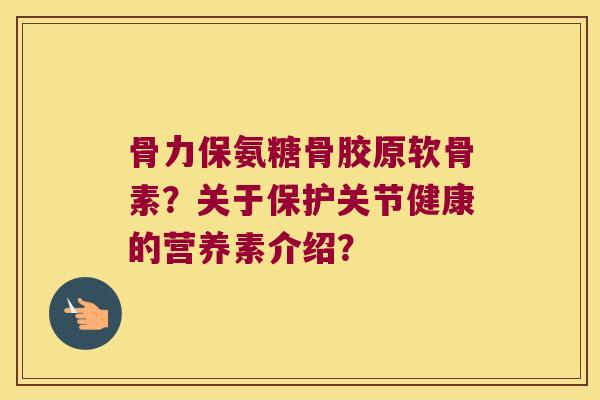 骨力保氨糖骨胶原软骨素?关于保护关节健康的营养素介绍?
