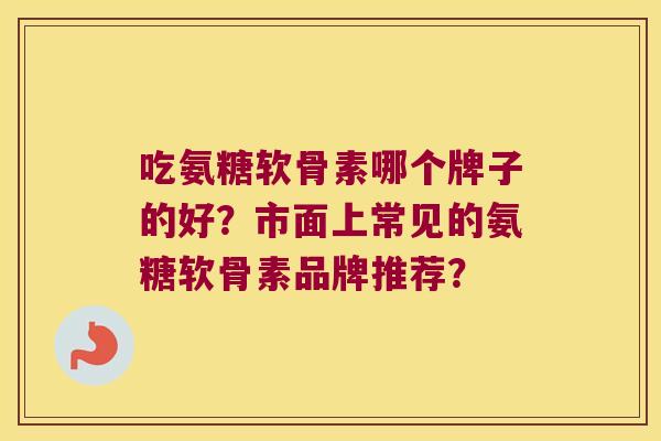 吃氨糖软骨素哪个牌子的好?市面上常见的氨糖软骨素品牌推荐?