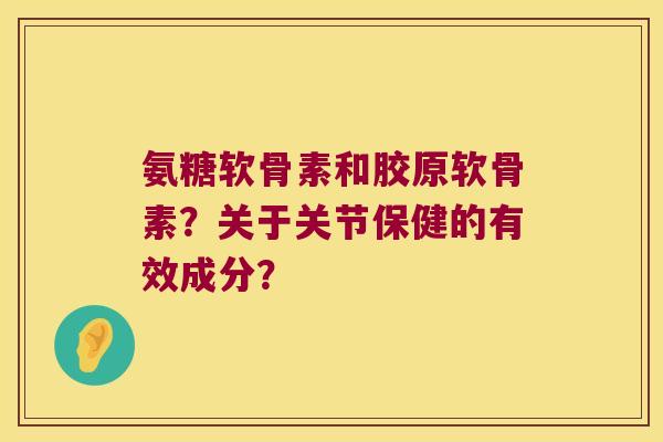 氨糖软骨素和胶原软骨素?关于关节保健的有效成分?