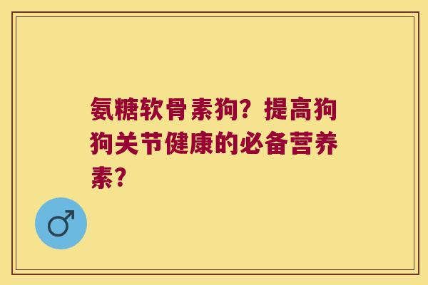 氨糖软骨素狗?提高狗狗关节健康的必备营养素?