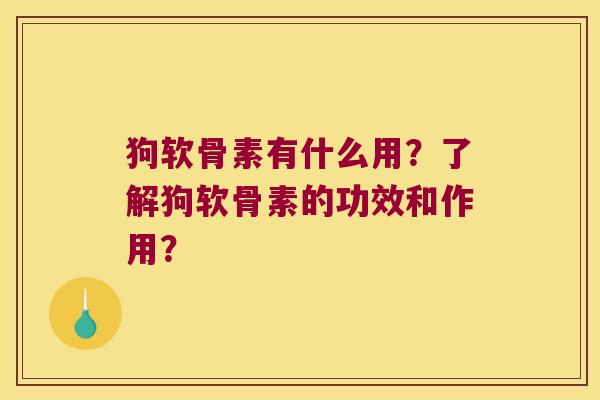 狗软骨素有什么用?了解狗软骨素的功效和作用? 狗软骨素有什么用?了解狗软骨素的功效和作用?