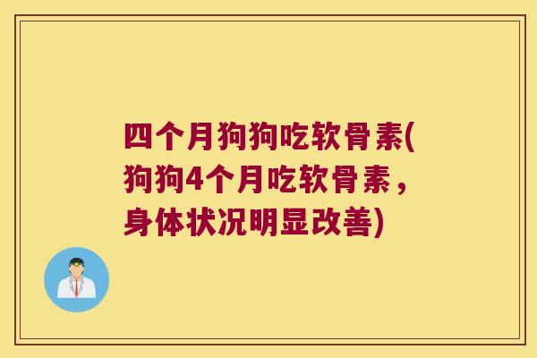 四个月狗狗吃软骨素(狗狗4个月吃软骨素,身体状况明显改善)