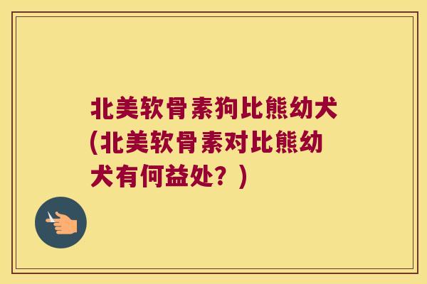 北美软骨素狗比熊幼犬(北美软骨素对比熊幼犬有何益处？)