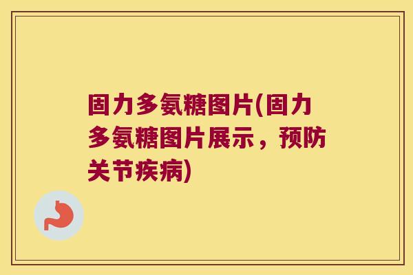 固力多氨糖图片(固力多氨糖图片展示,预防关节疾病)