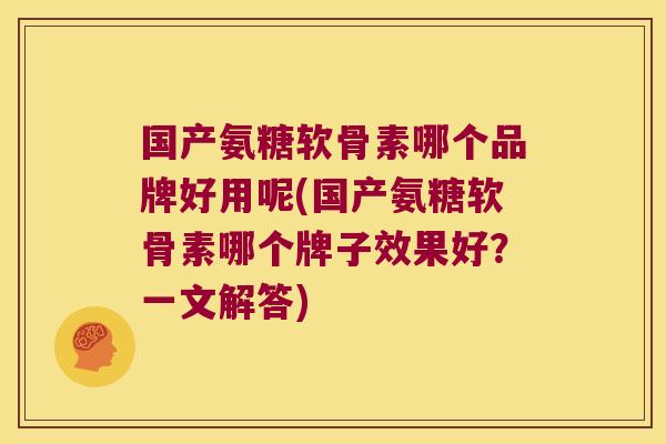 国产氨糖软骨素哪个品牌好用呢(国产氨糖软骨素哪个牌子效果好?一文解答)