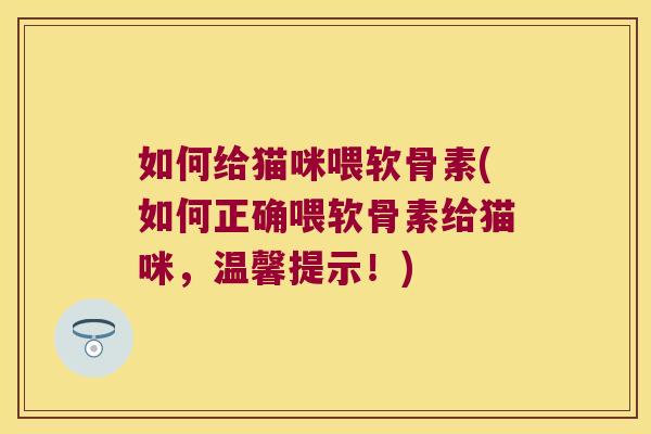 如何给猫咪喂软骨素(如何正确喂软骨素给猫咪，温馨提示！)