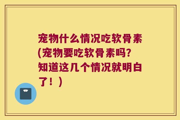 宠物什么情况吃软骨素(宠物要吃软骨素吗?知道这几个情况就明白了!)
