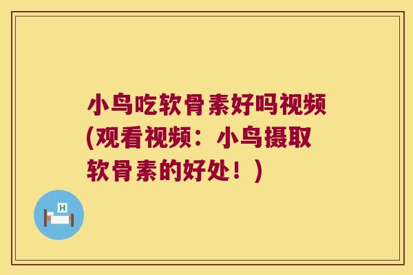 小鸟吃软骨素好吗视频(观看视频:小鸟摄取软骨素的好处!)