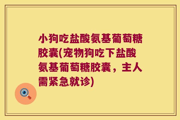 小狗吃盐酸氨基葡萄糖胶囊(宠物狗吃下盐酸氨基葡萄糖胶囊,主人需紧急就诊)