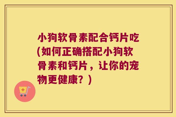 小狗软骨素配合钙片吃(如何正确搭配小狗软骨素和钙片,让你的宠物更健康?)
