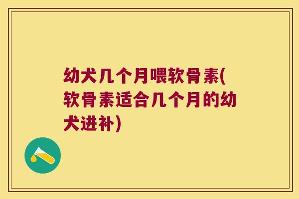 幼犬几个月喂软骨素(软骨素适合几个月的幼犬进补)