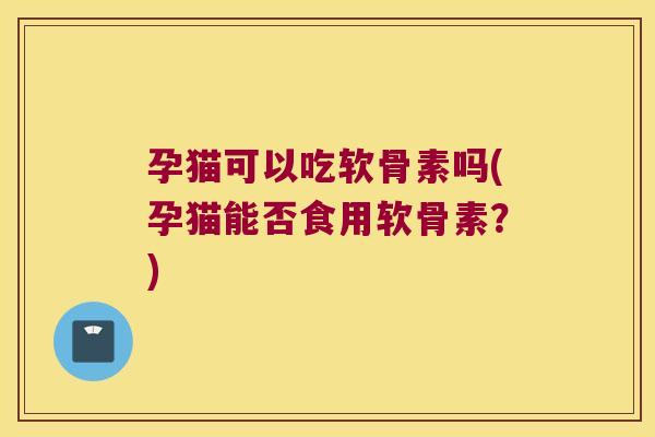 孕猫可以吃软骨素吗(孕猫能否食用软骨素?)