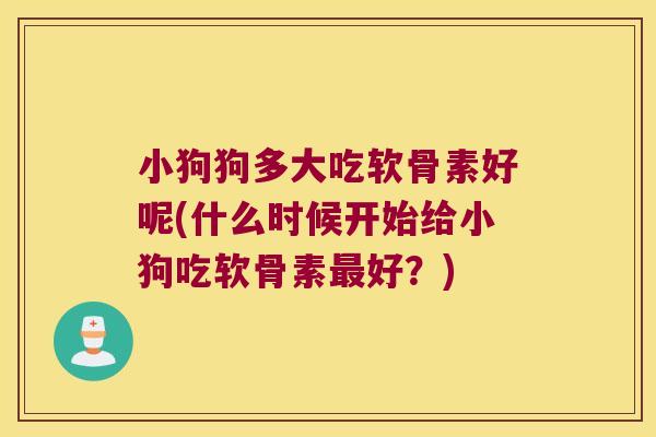 小狗狗多大吃软骨素好呢(什么时候开始给小狗吃软骨素好?) 小狗狗多大吃软骨素好呢(什么时候开始给小狗吃软骨素好?)