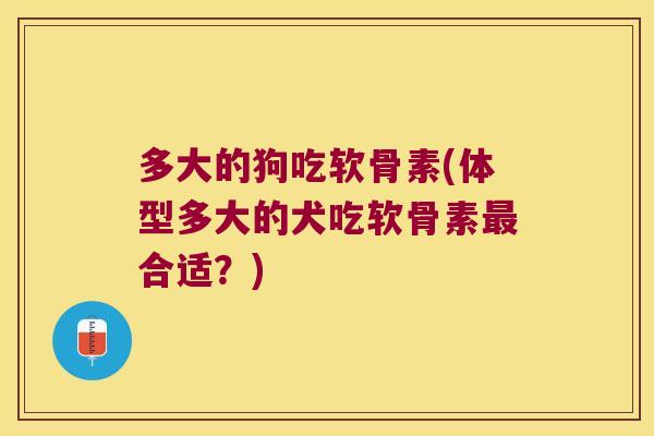 多大的狗吃软骨素(体型多大的犬吃软骨素最合适?)