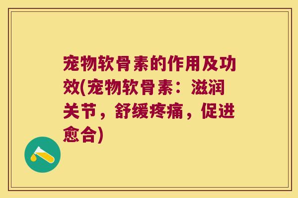 宠物软骨素的作用及功效(宠物软骨素:滋润关节,舒缓疼痛,促进愈合)