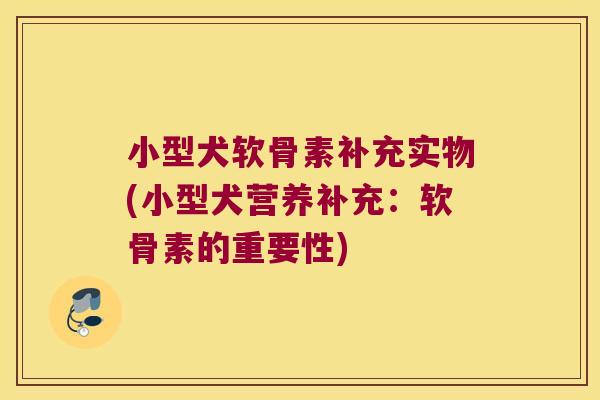 小型犬软骨素补充实物(小型犬营养补充:软骨素的重要性)