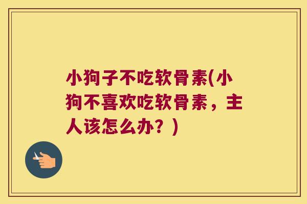 小狗子不吃软骨素(小狗不喜欢吃软骨素,主人该怎么办?) 小狗子不吃软骨素(小狗不喜欢吃软骨素,主人该怎么办?)