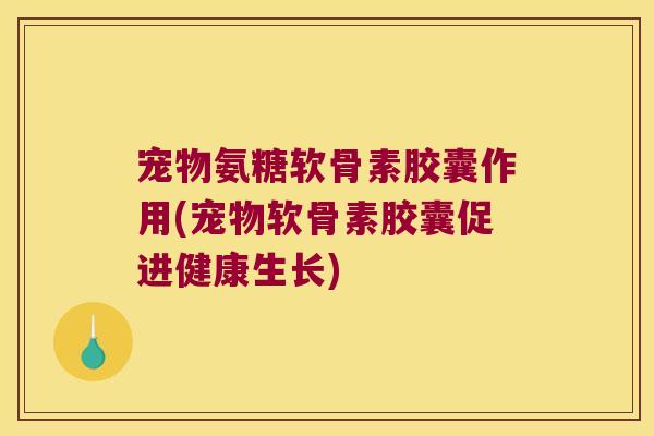宠物氨糖软骨素胶囊作用(宠物软骨素胶囊促进健康生长) 宠物氨糖软骨素胶囊作用(宠物软骨素胶囊促进健康生长)