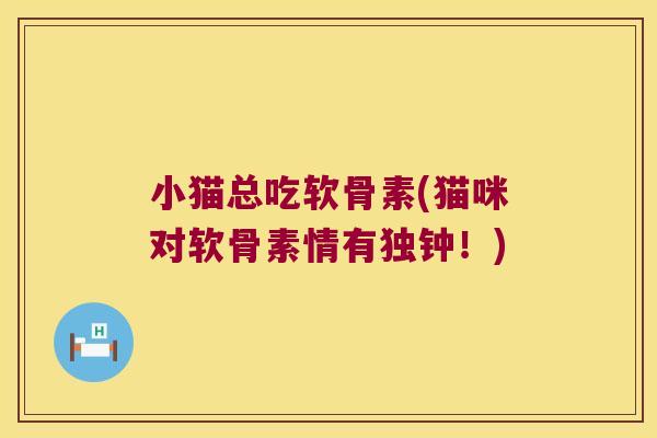 小猫总吃软骨素(猫咪对软骨素情有独钟！)