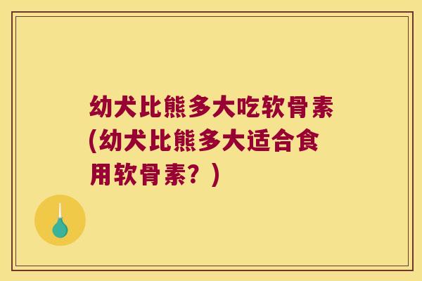 幼犬比熊多大吃软骨素(幼犬比熊多大适合食用软骨素?)