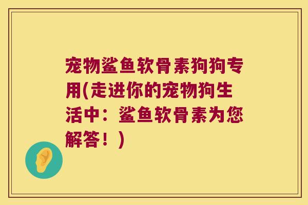 宠物鲨鱼软骨素狗狗专用(走进你的宠物狗生活中:鲨鱼软骨素为您解答!)