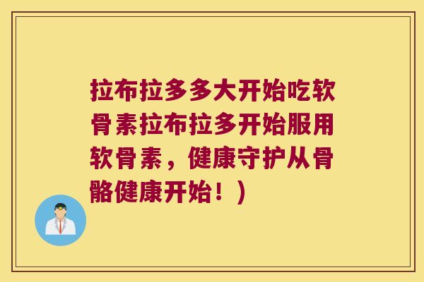 拉布拉多多大开始吃软骨素拉布拉多开始服用软骨素,健康守护从骨骼健康开始!)