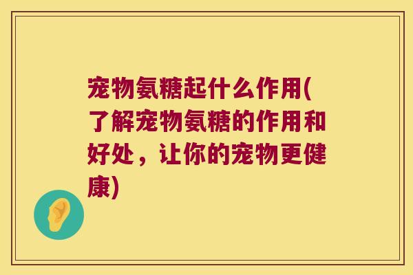 宠物氨糖起什么作用(了解宠物氨糖的作用和好处,让你的宠物更健康)