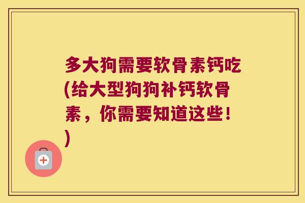 多大狗需要软骨素钙吃(给大型狗狗补钙软骨素,你需要知道这些!)