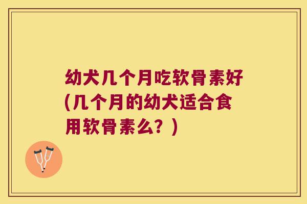 幼犬几个月吃软骨素好(几个月的幼犬适合食用软骨素么?)