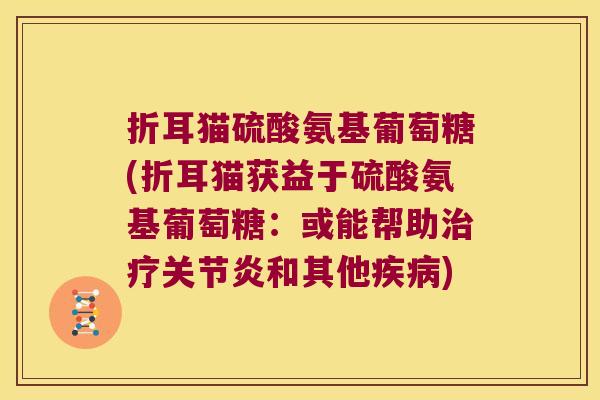 折耳猫硫酸氨基葡萄糖(折耳猫获益于硫酸氨基葡萄糖:或能帮助和其他) 折耳猫硫酸氨基葡萄糖(折耳猫获益于硫酸氨基葡萄糖:或能帮助和其他)