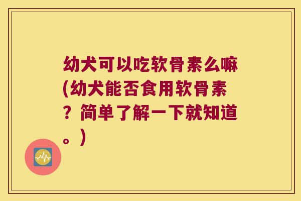 幼犬可以吃软骨素么嘛(幼犬能否食用软骨素?简单了解一下就知道。)
