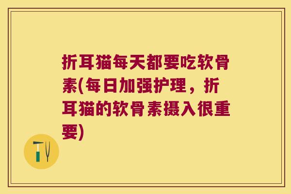折耳猫每天都要吃软骨素(每日加强护理,折耳猫的软骨素摄入很重要)