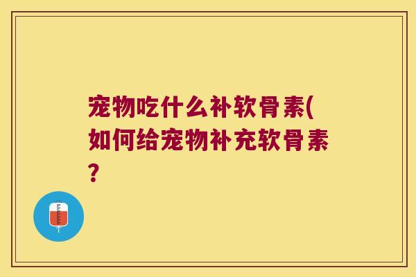 宠物吃什么补软骨素(如何给宠物补充软骨素?