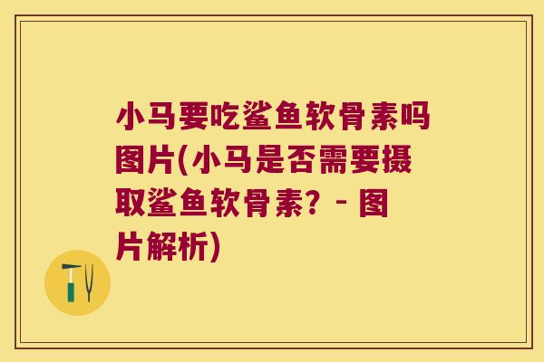 小马要吃鲨鱼软骨素吗图片(小马是否需要摄取鲨鱼软骨素?- 图片解析)
