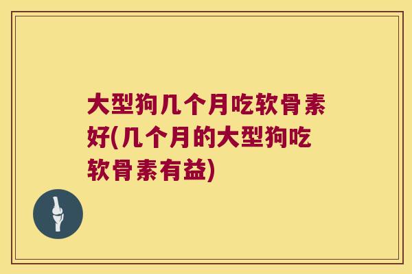 大型狗几个月吃软骨素好(几个月的大型狗吃软骨素有益)