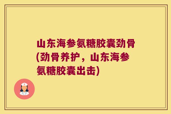 山东海参氨糖胶囊劲骨(劲骨养护,山东海参氨糖胶囊出击)