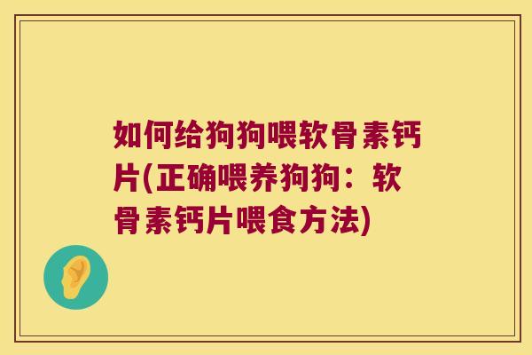 如何给狗狗喂软骨素钙片(正确喂养狗狗:软骨素钙片喂食方法)
