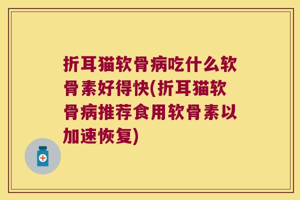 折耳猫软骨病吃什么软骨素好得快(折耳猫软骨病推荐食用软骨素以加速恢复)