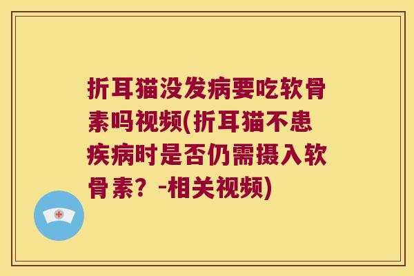 折耳猫没发要吃软骨素吗视频(折耳猫不患时是否仍需摄入软骨素?-相关视频) 折耳猫没发要吃软骨素吗视频(折耳猫不患时是否仍需摄入软骨素?-相关视频)