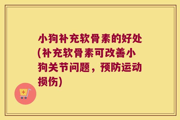 小狗补充软骨素的好处(补充软骨素可改善小狗关节问题,预防运动损伤)