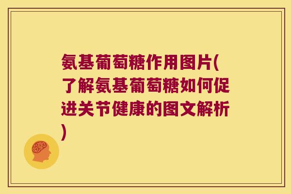 氨基葡萄糖作用图片(了解氨基葡萄糖如何促进关节健康的图文解析)
