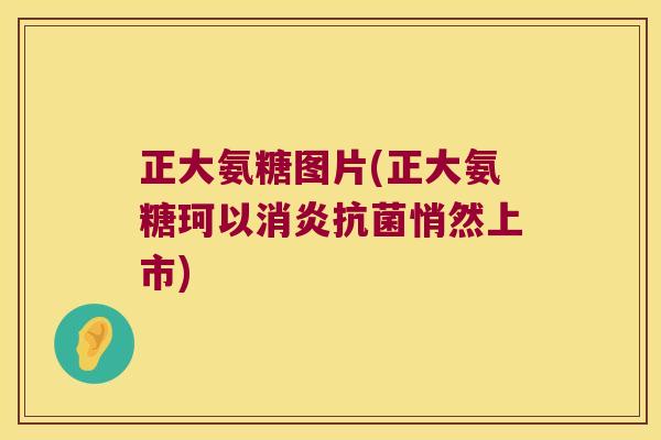 正大氨糖图片(正大氨糖珂以消炎抗菌悄然上市)