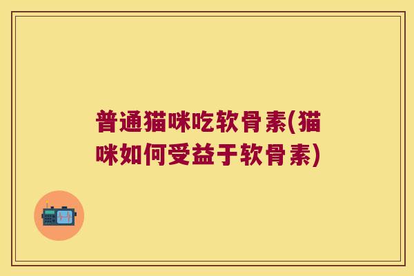普通猫咪吃软骨素(猫咪如何受益于软骨素)