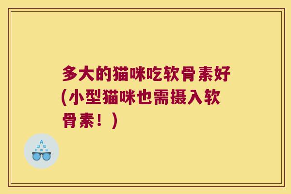 多大的猫咪吃软骨素好(小型猫咪也需摄入软骨素!)