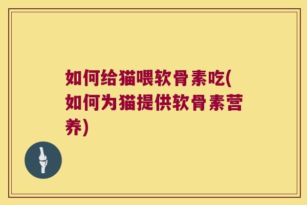 如何给猫喂软骨素吃(如何为猫提供软骨素营养)