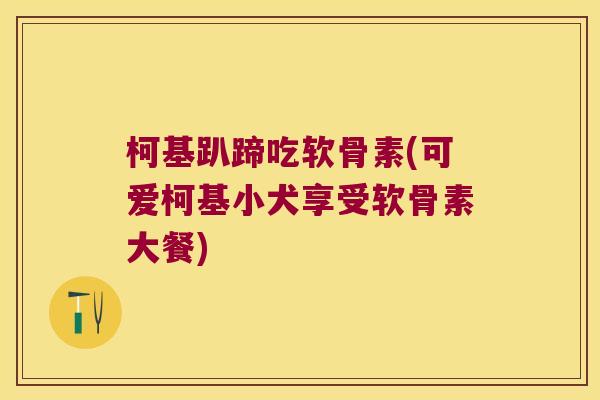 柯基趴蹄吃软骨素(可爱柯基小犬享受软骨素大餐)