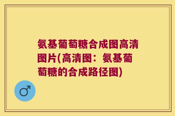 氨基葡萄糖合成图高清图片(高清图:氨基葡萄糖的合成路径图)