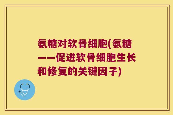 氨糖对软骨细胞(氨糖——促进软骨细胞生长和修复的关键因子)