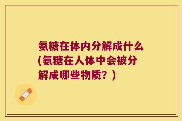 氨糖在体内分解成什么(氨糖在人体中会被分解成哪些物质?)